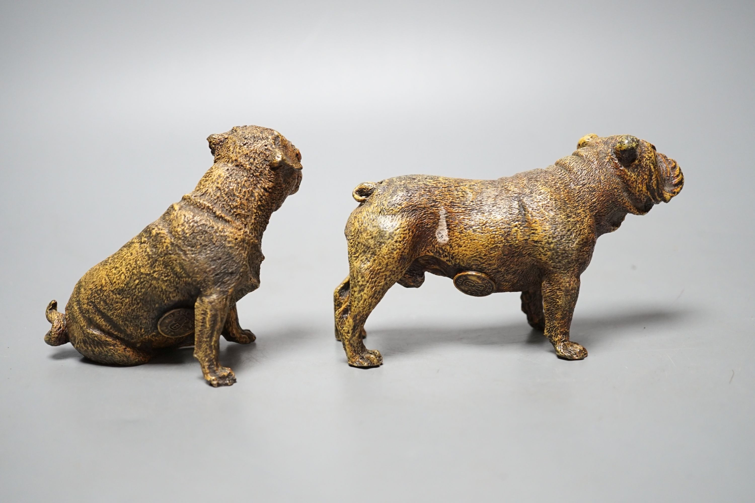 Two cold painted bronzes, a pug and a bulldog, with applied discs reading ‘GESCHUTZT’. 14cm